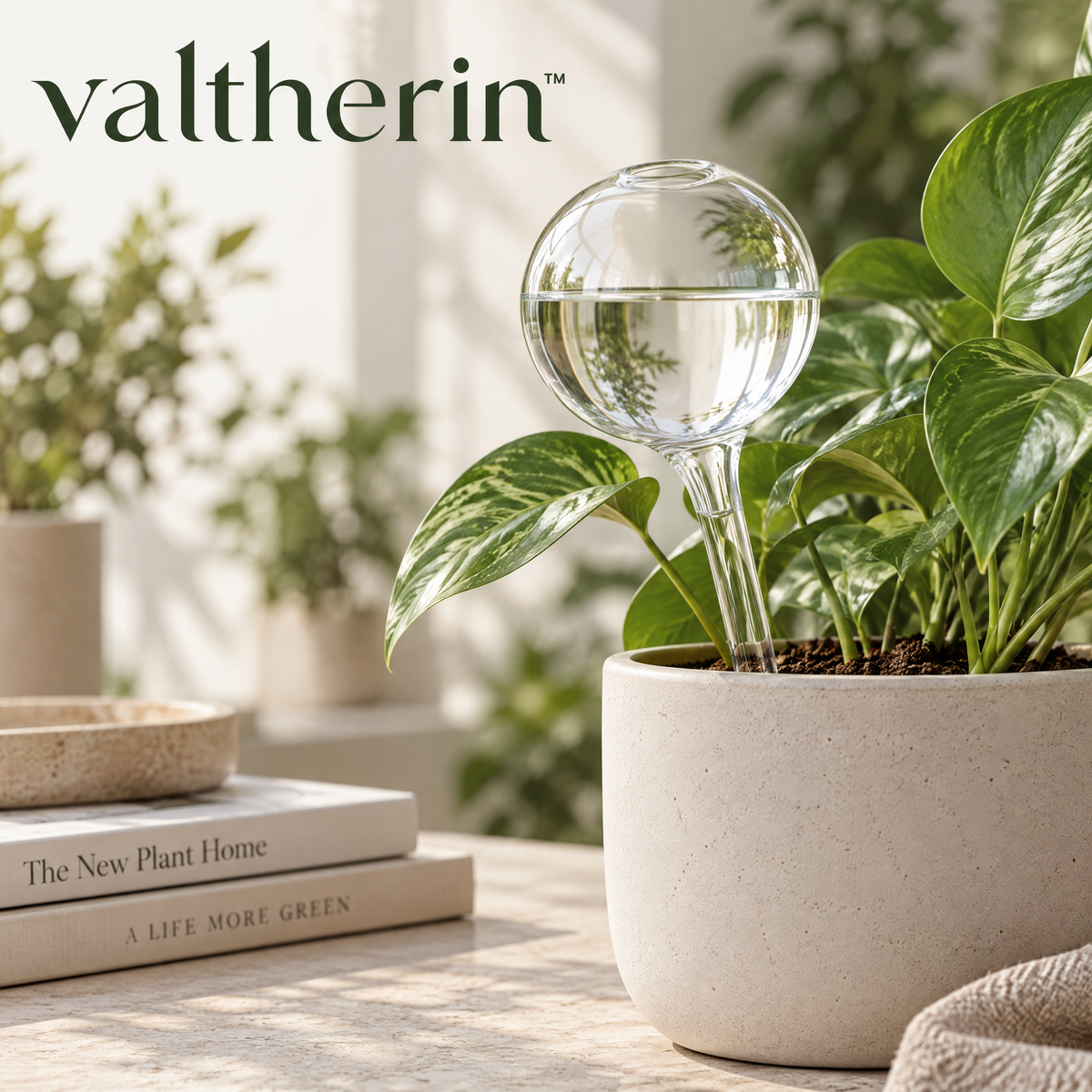 Valtherin™ Glass Plant Watering Globe
